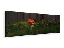 Load image into Gallery viewer, Panoramic Canvas Print A mushroom in the forest
