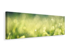Load image into Gallery viewer, Panoramic Canvas Print In the meadow