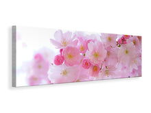 Load image into Gallery viewer, Panoramic Canvas Print Japanese cherry blossom XL