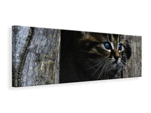 Load image into Gallery viewer, Panoramic Canvas Print Cats child
