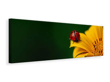 Load image into Gallery viewer, Panoramic Canvas Print Ladybug on the sunflower