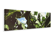 Load image into Gallery viewer, Panoramic Canvas Print In the middle of the jungle