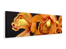 Load image into Gallery viewer, Panoramic Canvas Print Orchids with orange flowers