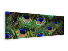 Load image into Gallery viewer, Panoramic Canvas Print Peacock feathers XXL