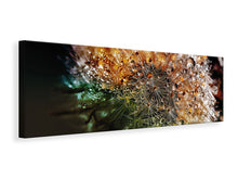 Load image into Gallery viewer, Panoramic Canvas Print Dandelion in the morning dew