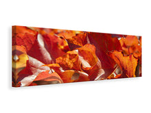 Load image into Gallery viewer, Panoramic Canvas Print Nice autumn leaves