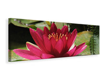 Load image into Gallery viewer, Panoramic Canvas Print Water lily in red
