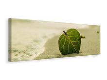 Load image into Gallery viewer, Panoramic Canvas Print Beach leaf