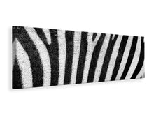 Load image into Gallery viewer, Panoramic Canvas Print Strip of the zebra