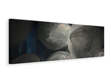 Load image into Gallery viewer, Panoramic Canvas Print Eerie jellyfish