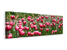 Load image into Gallery viewer, Panoramic Canvas Print Wild tulip field