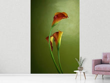 Load image into Gallery viewer, Photo Wallpaper 3 Callas
