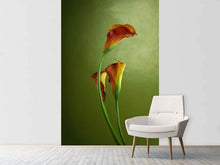 Load image into Gallery viewer, Photo Wallpaper 3 Callas

