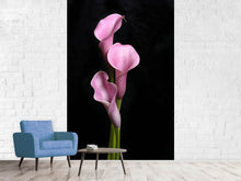 Load image into Gallery viewer, Photo Wallpaper 3 Purple Callas
