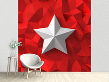 Load image into Gallery viewer, Photo Wallpaper 3D Star
