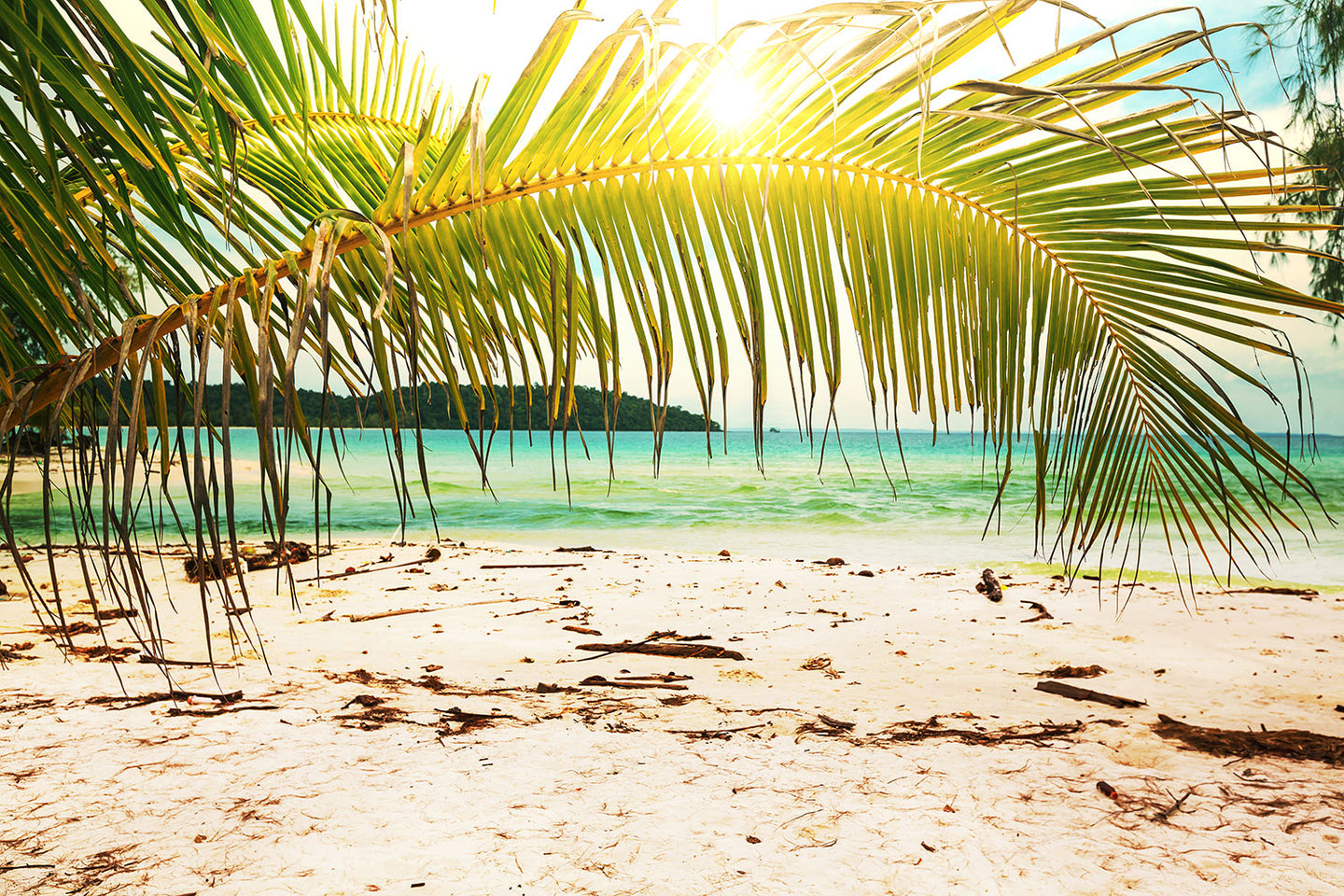 Photo Wallpaper Swing Out Of The Hammock.