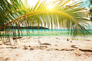 Photo Wallpaper Swing Out Of The Hammock.