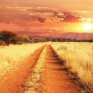 Photo Wallpaper Dusk In Kenya