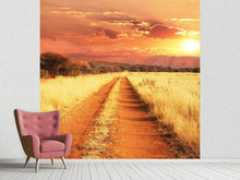 Load image into Gallery viewer, Photo Wallpaper Dusk In Kenya

