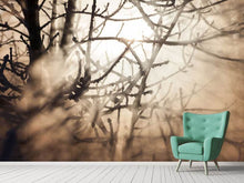 Load image into Gallery viewer, Photo Wallpaper Branches In Fog Light
