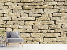 Load image into Gallery viewer, Photo Wallpaper Old Wall
