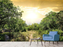 Load image into Gallery viewer, Photo Wallpaper At The End Of The forest
