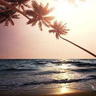 Photo Wallpaper Seaside