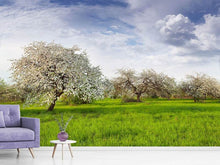 Load image into Gallery viewer, Photo Wallpaper Apple Tree Garden
