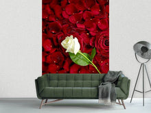 Load image into Gallery viewer, Photo Wallpaper Bed Of Roses
