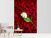 Load image into Gallery viewer, Photo Wallpaper Bed Of Roses
