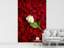 Load image into Gallery viewer, Photo Wallpaper Bed Of Roses
