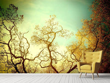 Load image into Gallery viewer, Photo Wallpaper Autumn Trees
