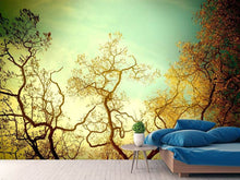 Load image into Gallery viewer, Photo Wallpaper Autumn Trees
