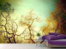 Load image into Gallery viewer, Photo Wallpaper Autumn Trees
