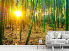 Load image into Gallery viewer, Photo Wallpaper Bamboos
