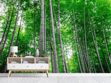 Load image into Gallery viewer, Photo Wallpaper Bamboo Forest
