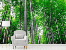 Load image into Gallery viewer, Photo Wallpaper Bamboo Forest
