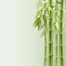 Load image into Gallery viewer, Photo Wallpaper Green Bamboo
