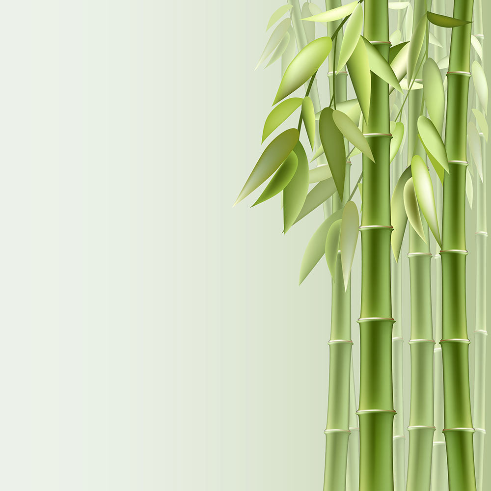 Photo Wallpaper Green Bamboo