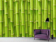Load image into Gallery viewer, Photo Wallpaper Bamboo Wall
