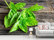 Load image into Gallery viewer, Photo Wallpaper Basil Leaves
