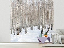 Load image into Gallery viewer, Photo Wallpaper Birch Forest Tracks In Snow
