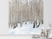 Load image into Gallery viewer, Photo Wallpaper Birch Forest Tracks In Snow

