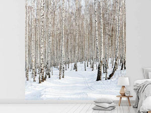 Photo Wallpaper Birch Forest Tracks In Snow