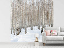 Load image into Gallery viewer, Photo Wallpaper Birch Forest Tracks In Snow
