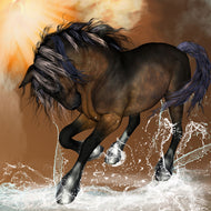 Photo Wallpaper Black Beauty