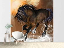 Load image into Gallery viewer, Photo Wallpaper Black Beauty

