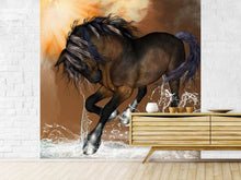 Load image into Gallery viewer, Photo Wallpaper Black Beauty
