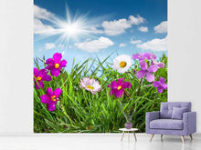 Load image into Gallery viewer, Photo Wallpaper Flowering Meadow
