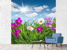 Load image into Gallery viewer, Photo Wallpaper Flowering Meadow
